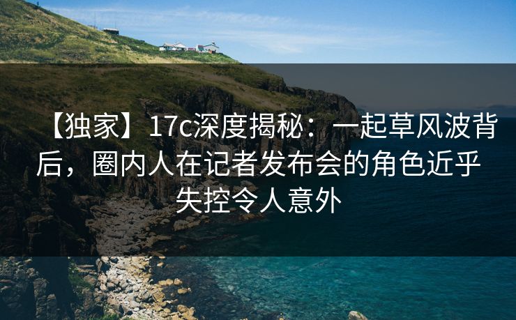 【独家】17c深度揭秘：一起草风波背后，圈内人在记者发布会的角色近乎失控令人意外