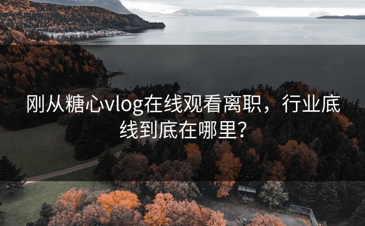 刚从糖心vlog在线观看离职，行业底线到底在哪里？